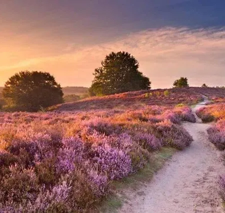 In De Veluwe Met Prive Sanitair Ll54