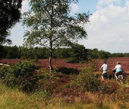 In De Veluwe Met Prive Sanitair Ll54 Putten