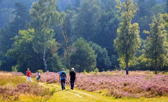 אוהל מפואר In De Veluwe Met Prive Sanitair Ll54 *