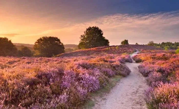 In De Veluwe Met Prive Sanitair Ll54