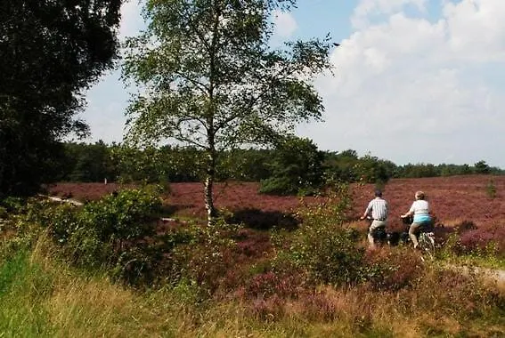 In De Veluwe Met Prive Sanitair Ll54 פוטן