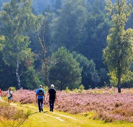 Lyxtält In De Veluwe Met Prive Sanitair Ll54 *